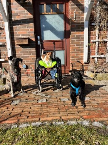 Wir fühlen uns hier wohl!