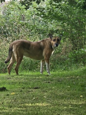 Schöner Urlaub! Bin schon 2. Mal hier!