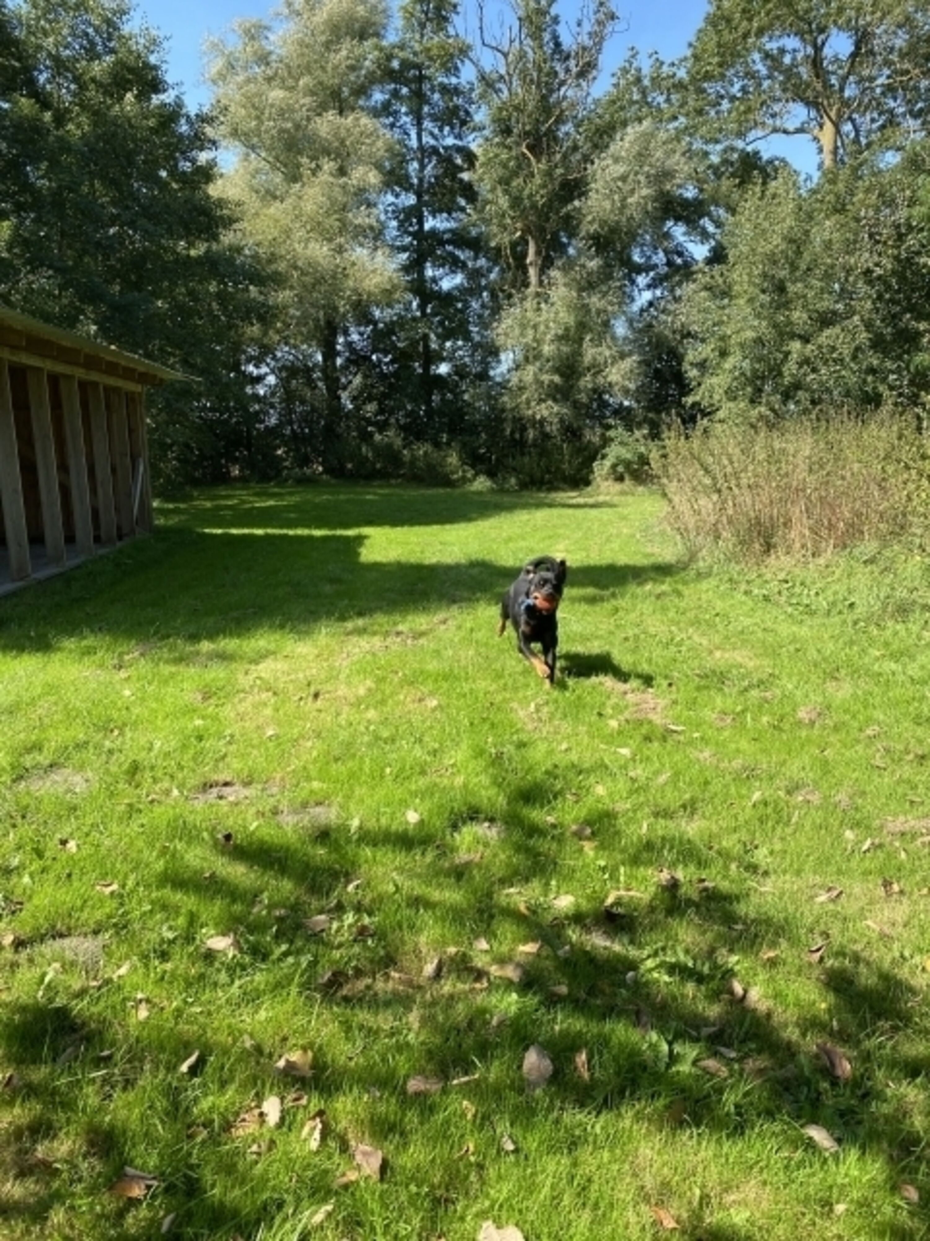 Spielwiese