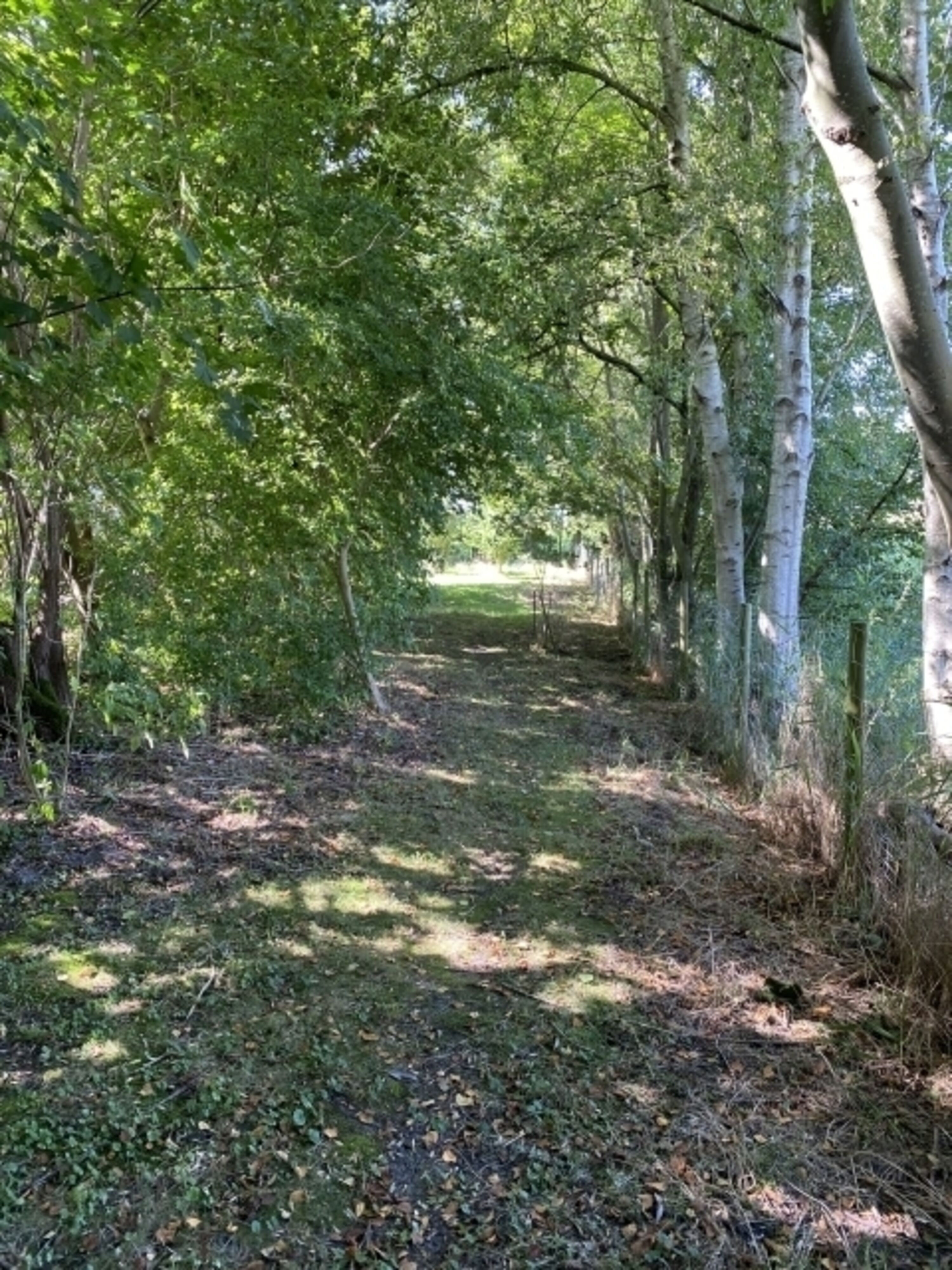 Kleiner Rundgang