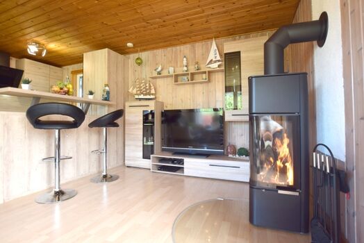 der herrliche Stunden vorm Kamin verbringen