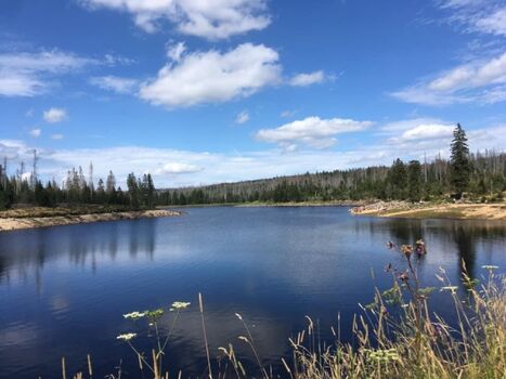 Der Oderteich im Harz
