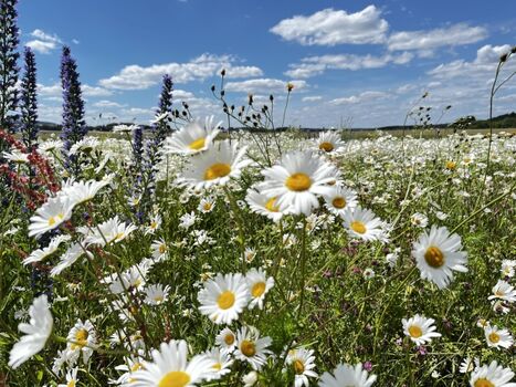 auf unserer Gassirunde