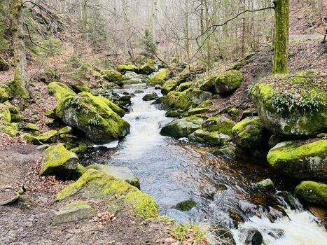 Ilsetal Harz