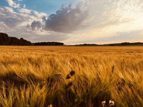Auf unserer Gassirunde ab Haus