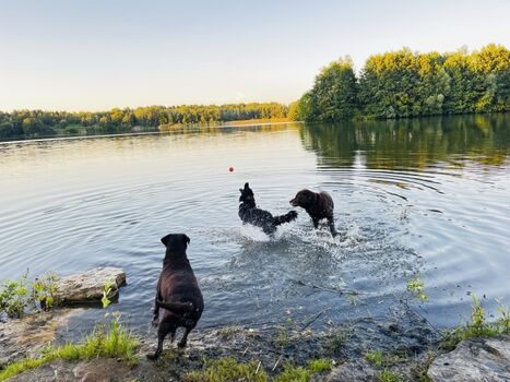 in der Velpker Schweiz