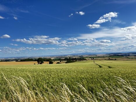 Blick aus dem Elm auf den Harz