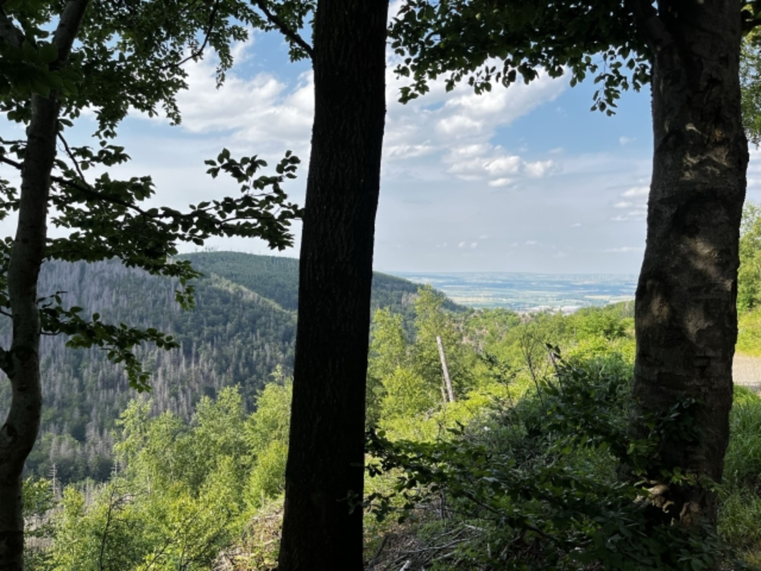 im Ilsetal im Harz