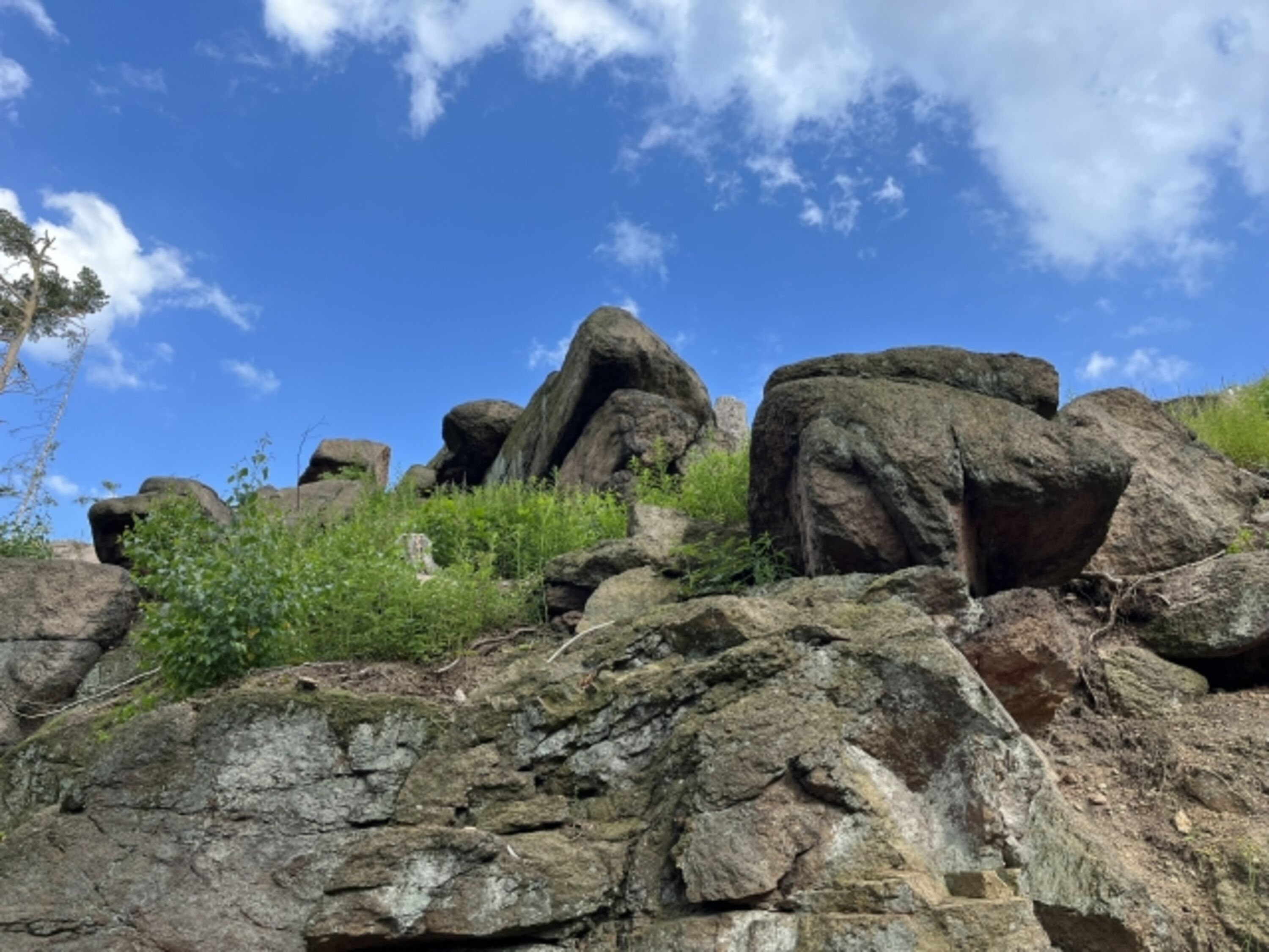 Im Ilsetal im Harz