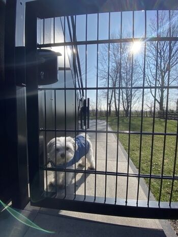 praktische Gartentore (nützlich für Kinder und Hunde)