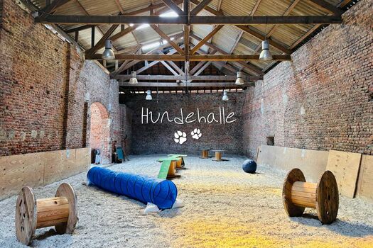 Hundehalle - Beschäftigung auch bei schlechtem Wetter