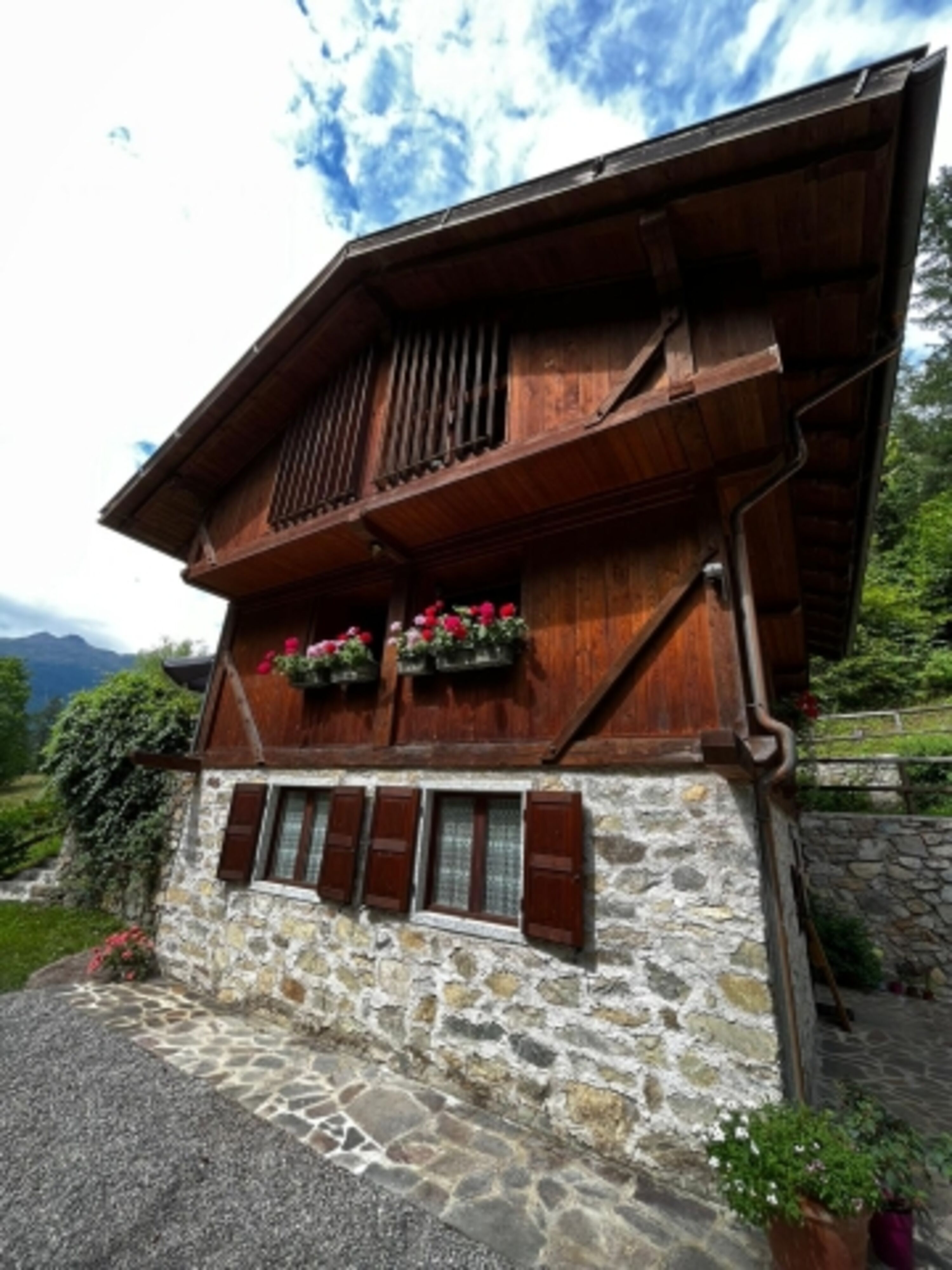 Bild 19