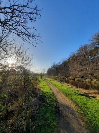 Fußweg an der Niers
