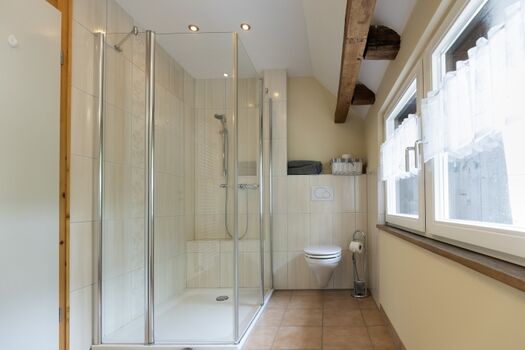 Großes Tageslichtbad mit Dusche