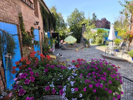 Hamika bewacht den Hof