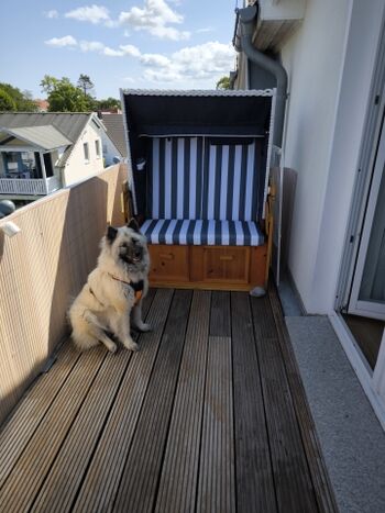 Strandkorbfeeling ganz privat