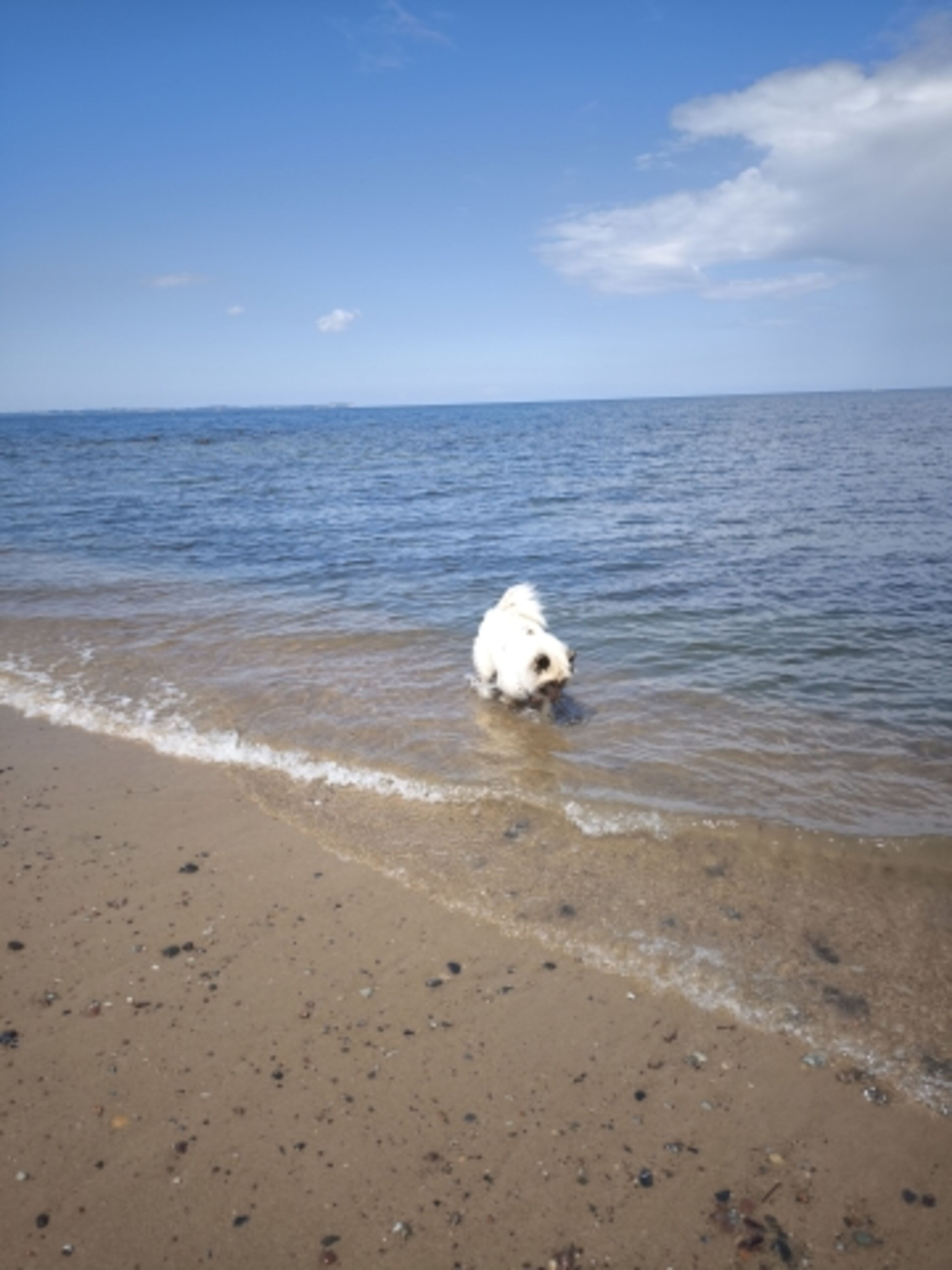 Strandvergnügen 