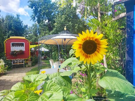 Großer Pavillon im Wredenhagener Garten 