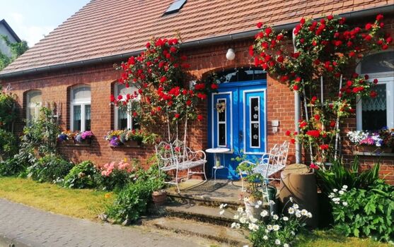 Zirkuswagen Ferienhaus Ensemble bei Anna Müritz in Wredenhagen 