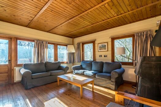 Das gemütliche Wohnzimmer