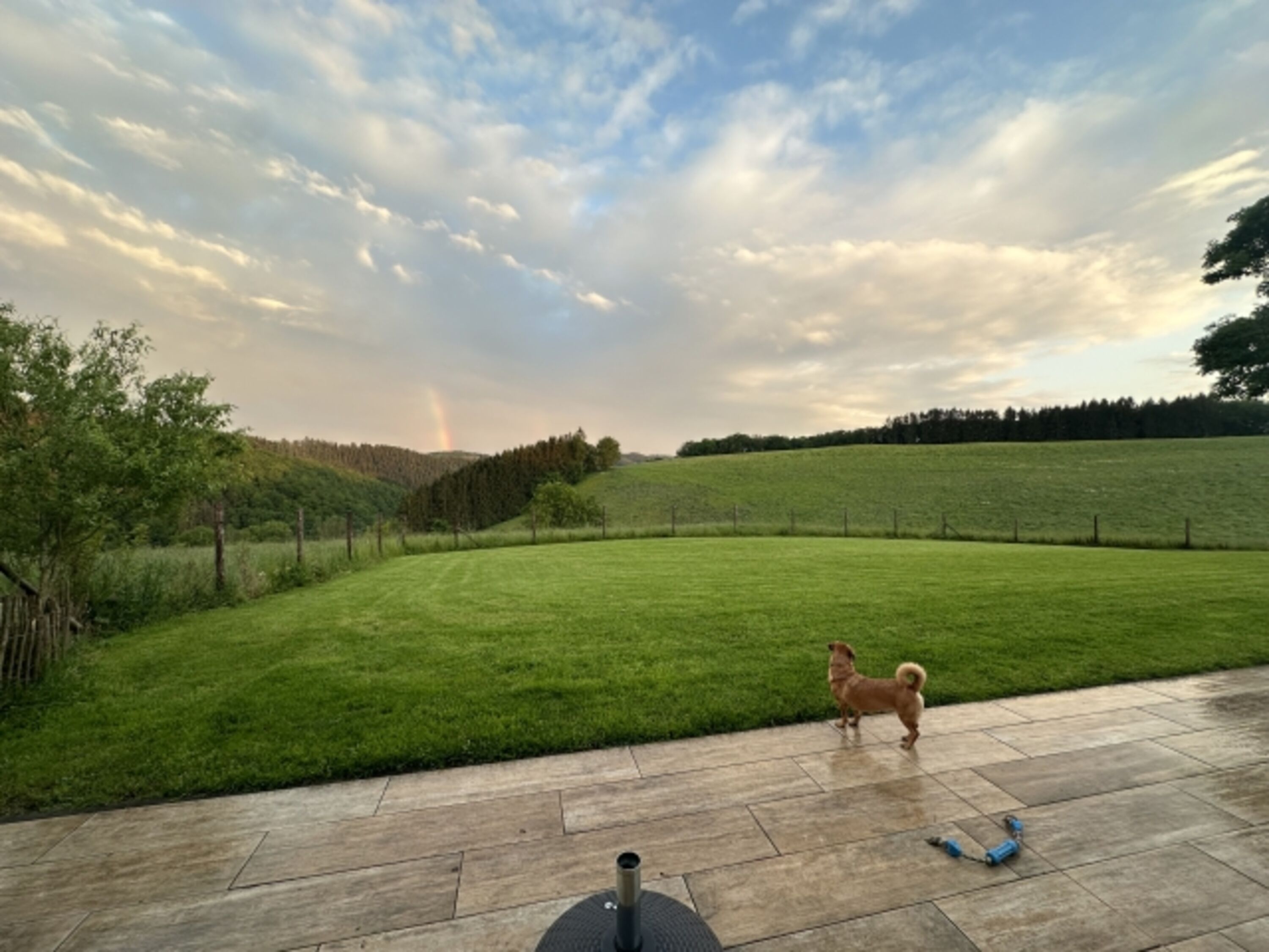 Bild 5