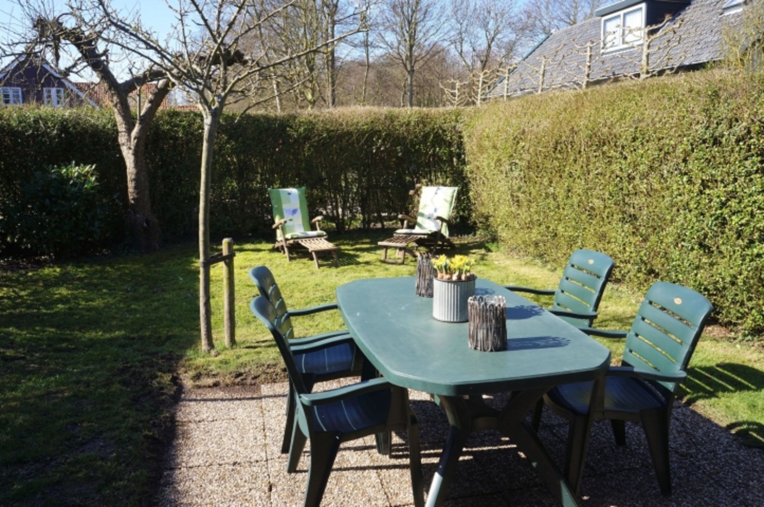 Der sonnige Garten mit Terrasse