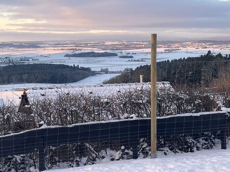 Verschneite Wälder und klare Luft – der Schwarzwald zeigt sich von seiner ruhigen Seite.