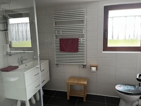 Tageslicht Badezimmer mit Dusche, Glasduschwand und WC für deinen Komfort