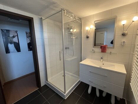 Modernes Badezimmer zum wohlfühlen, mit Waschbecken, Spiegel und Dusche 