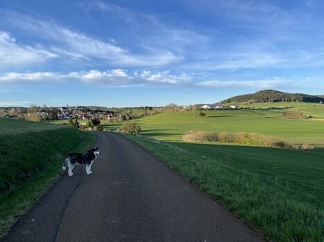Unzählige Wege laden zum Wandern ein 