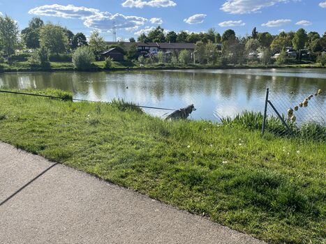 Kurze Ausflüge zum Sunthauser See – ideal für Hunde und Menschen.