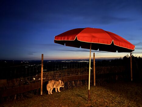 Abendstimmung auf der Terrasse