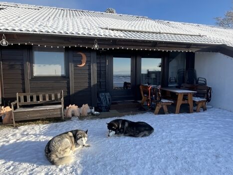Terrasse mit Holzmöbeln, Stühlen und Grill - im Sommer mit Sonnenschirm, Sonnensegel und Sonnenliegen