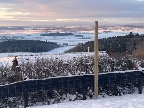 Genießen Sie die Aussicht, direkt von der Terrasse aus 