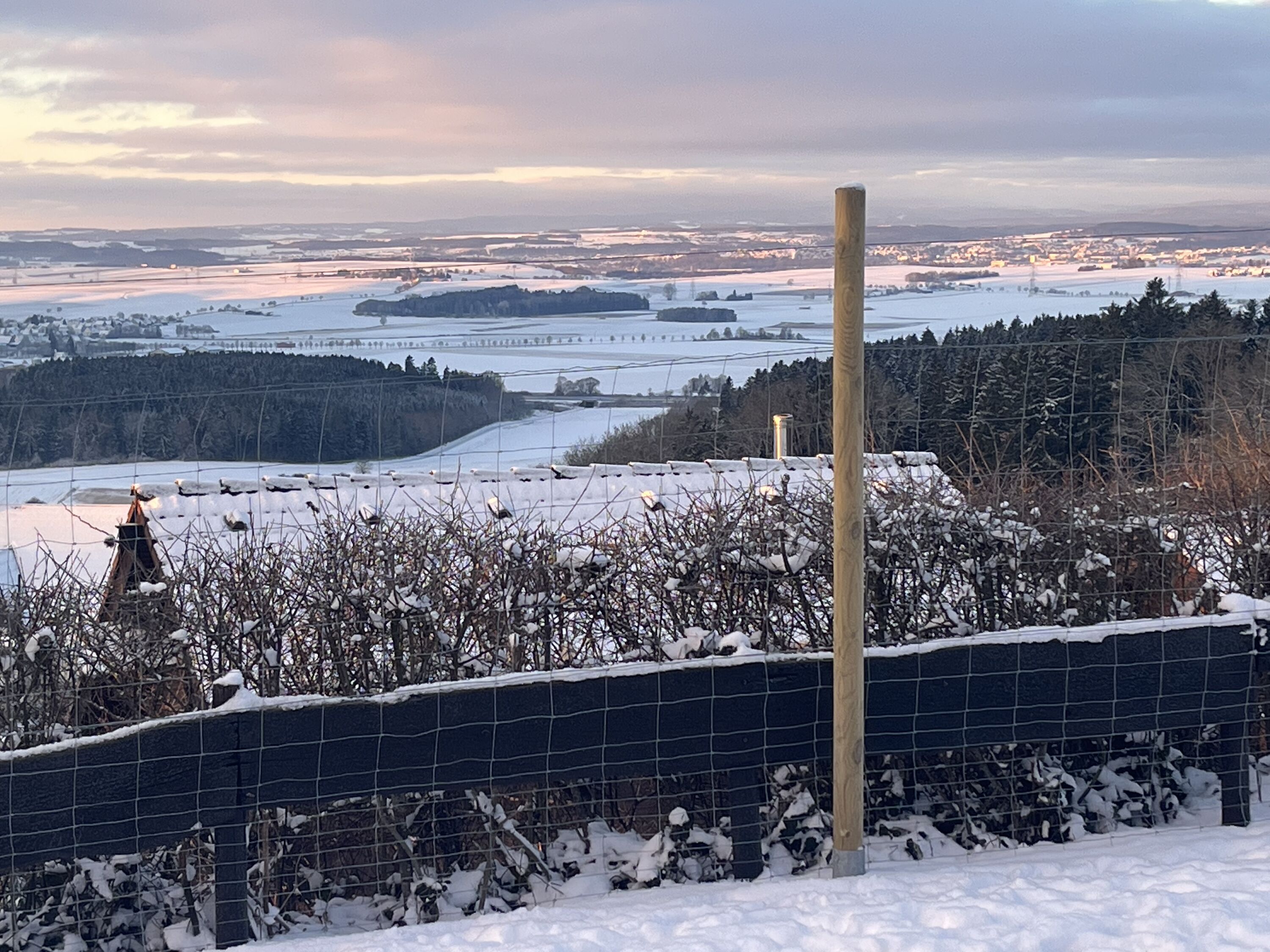 Verschneite Wälder und klare Luft – der Schwarzwald zeigt sich von seiner ruhigen Seite.