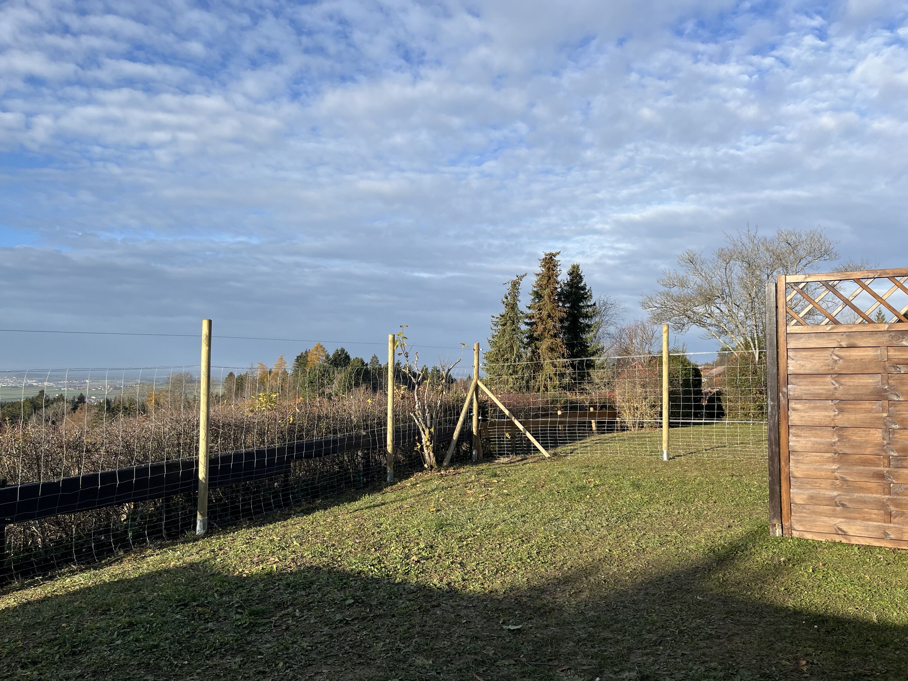 Sicherer Garten für Ihren Hund – entspanntes Toben garantiert.
