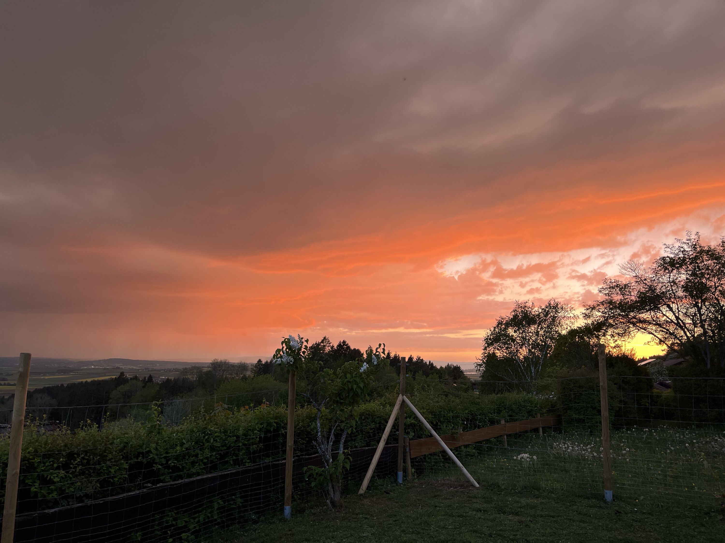 Sonnenuntergänge über den Bergen – perfekte Momente für Hund und Mensch.