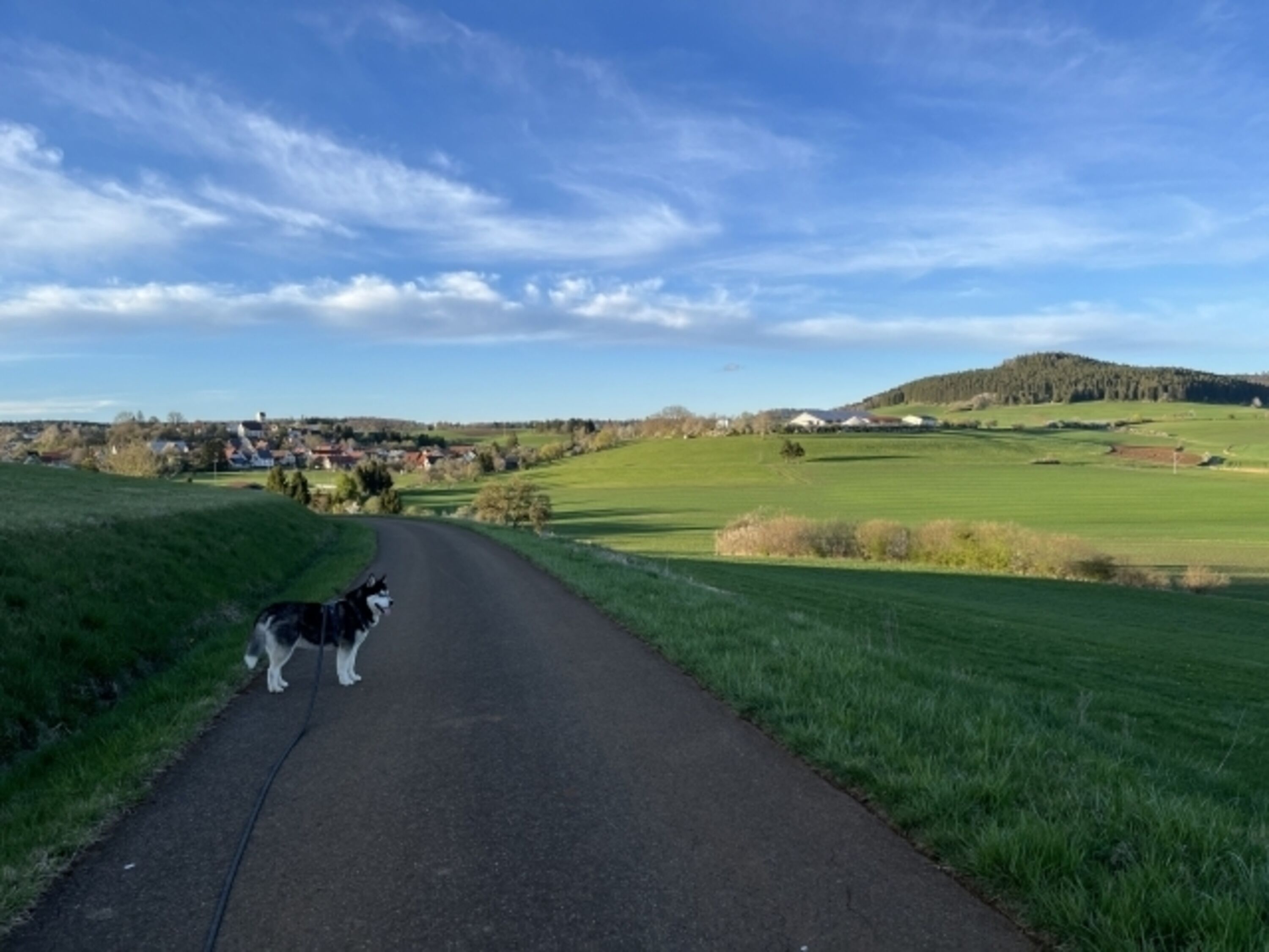 Direkt ab Haus starten leere Wanderwege – ideal für entspannte Gassirunden.