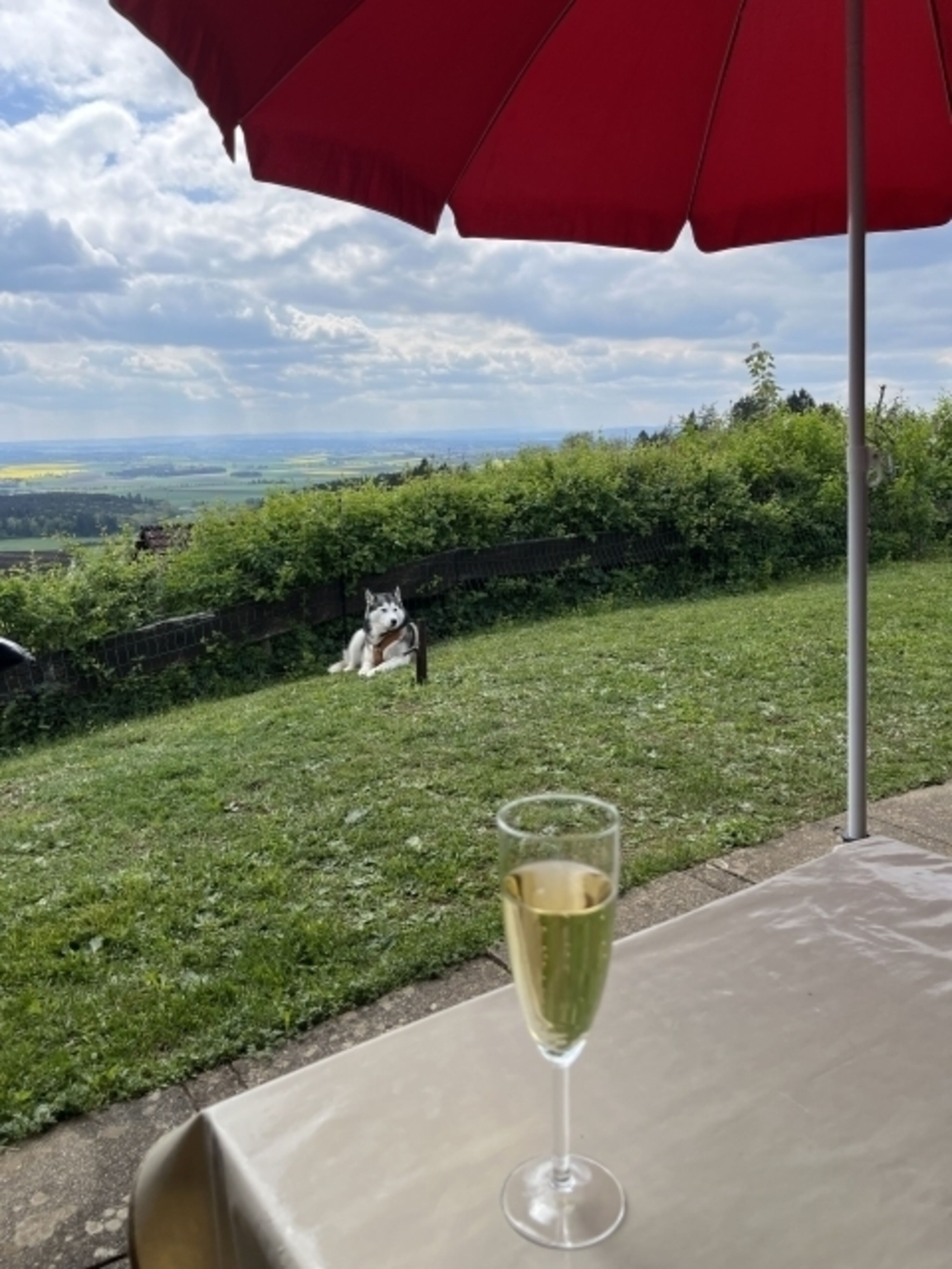 Terrassenmoment mit Ausblick und Genuss