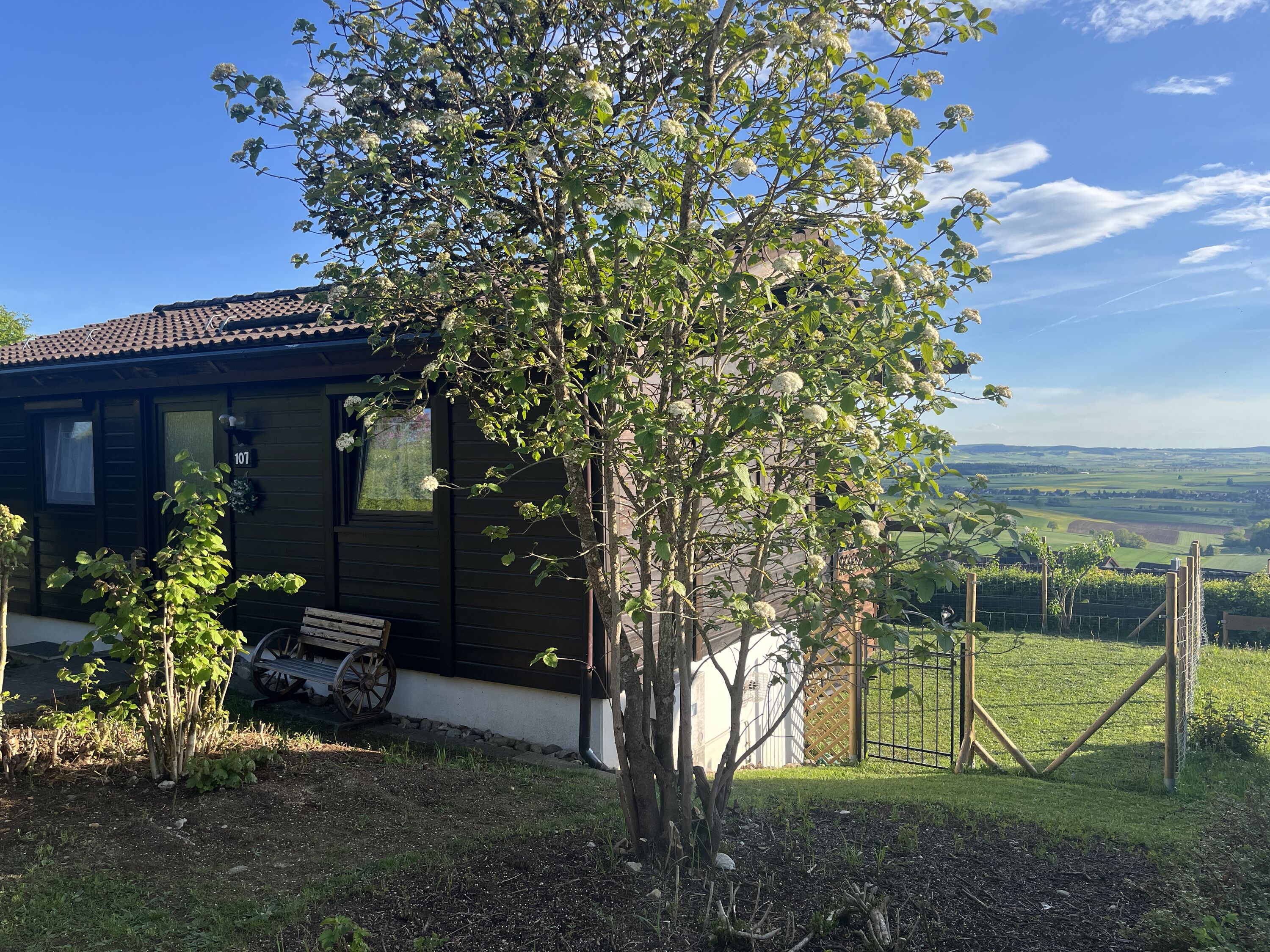 Ferienhaus Munz - Ihr Ferienhaus mit traumhaftem Panoramablick – Ruhe pur im Schwarzwald