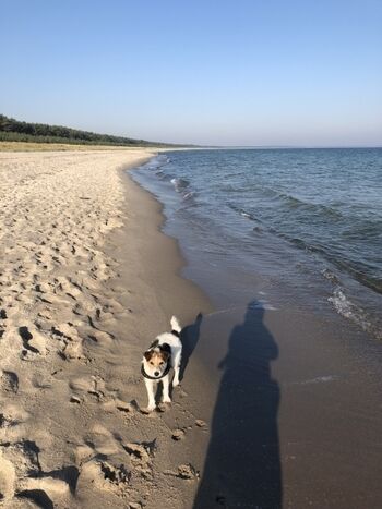 Genuss auch fuer den 4Beiner