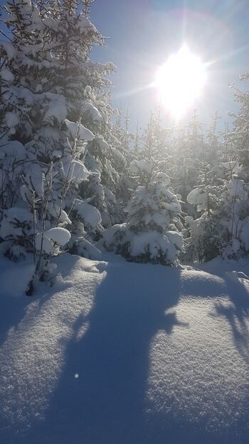 Winter in Klingenthal