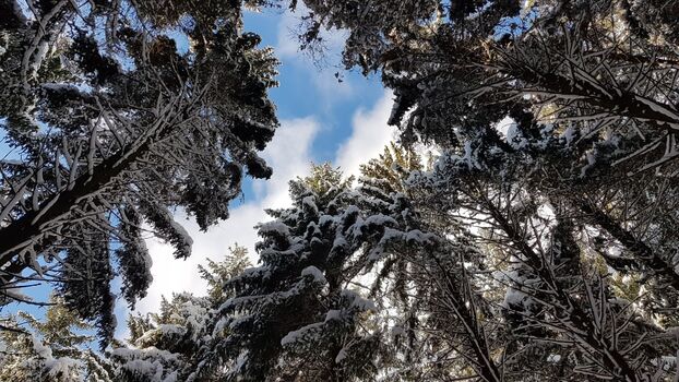 Winter in Klingenthal