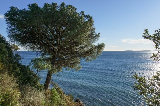 Halbinsel von St.-Tropez