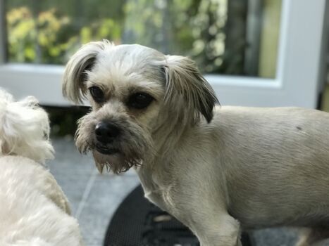 Unsere Tierischen Gäste