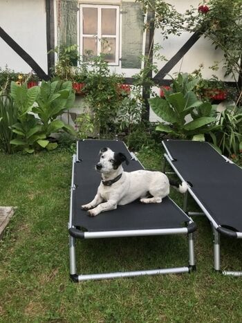 Unsere Tierischen Gäste