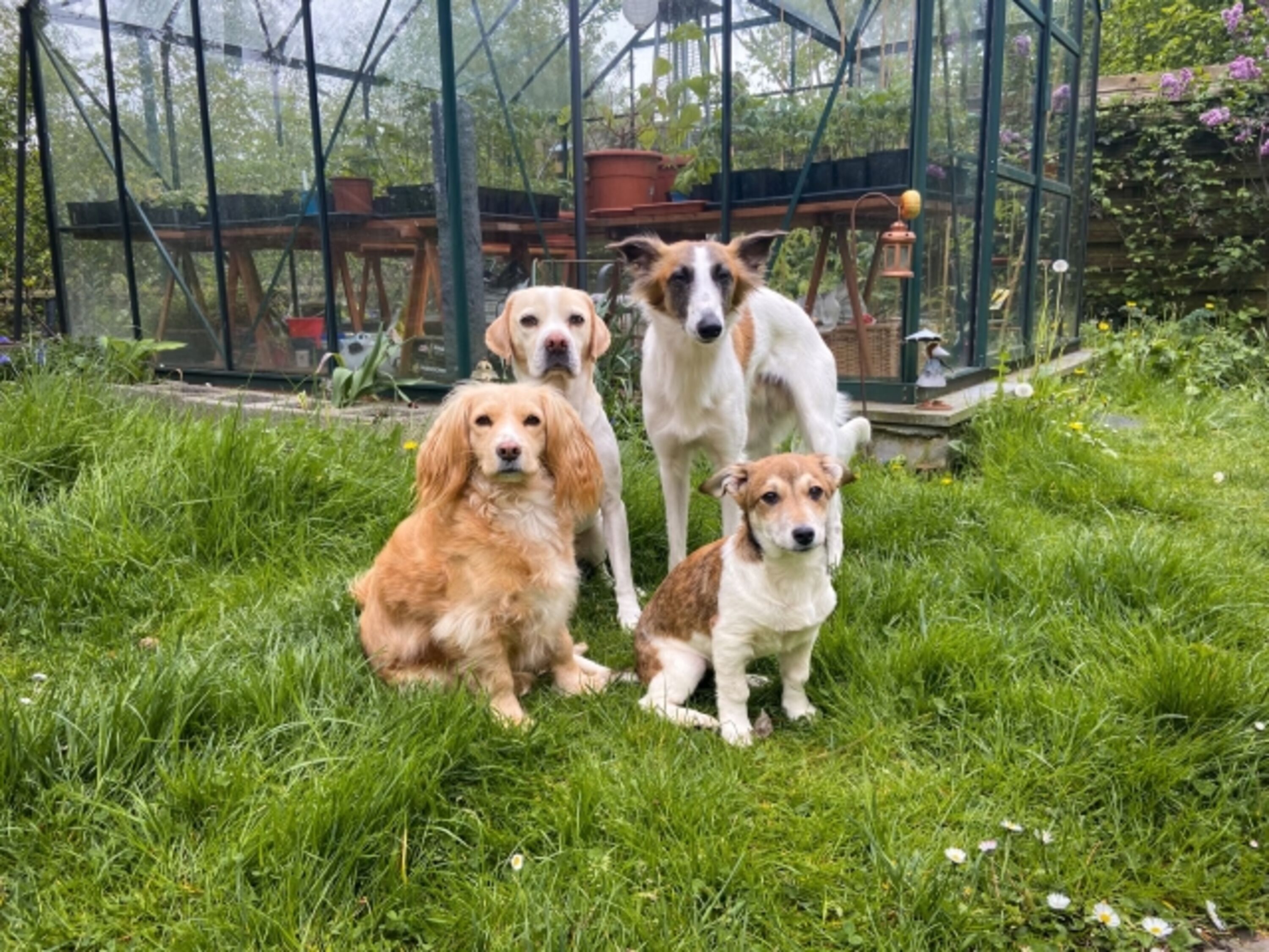 Unsere Tierischen Gäste