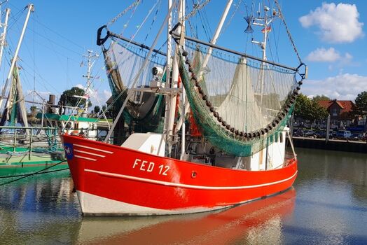 Hafen Fedderwardersiel