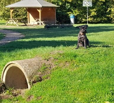 Hundespielplatz