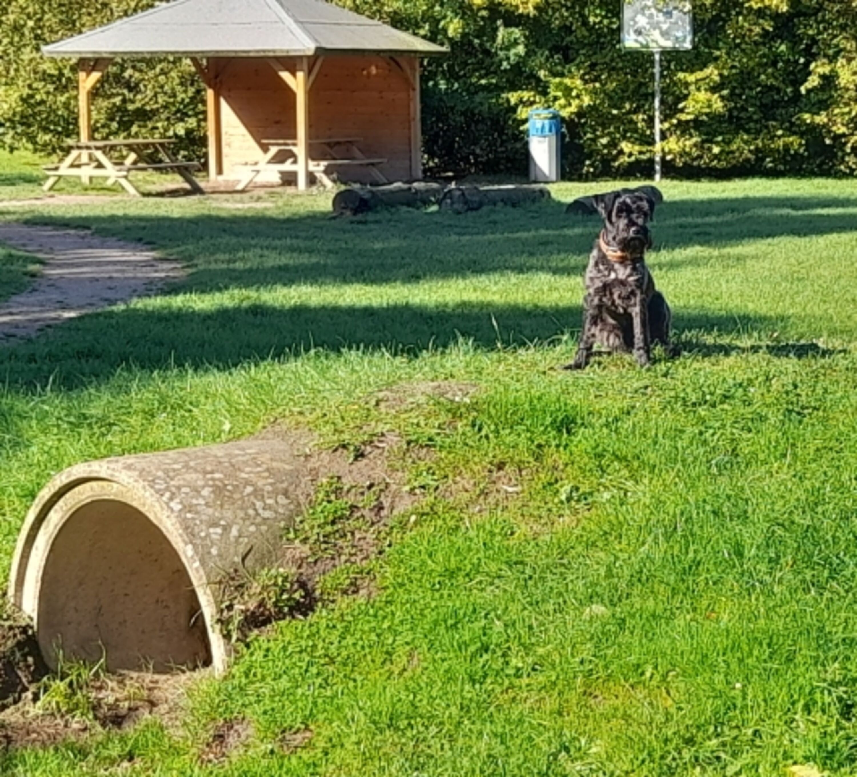 Hundespielplatz